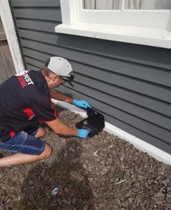 Protect Every Service in Your Home